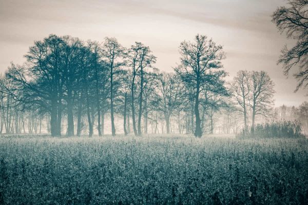 Elektroheizung als Übergangsheizung