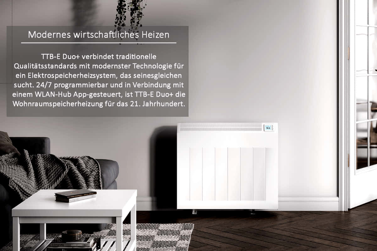 Modernes wirtschaftliches Heizen mit TTB-E Duo