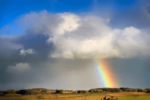 Regenbogen aus Woke